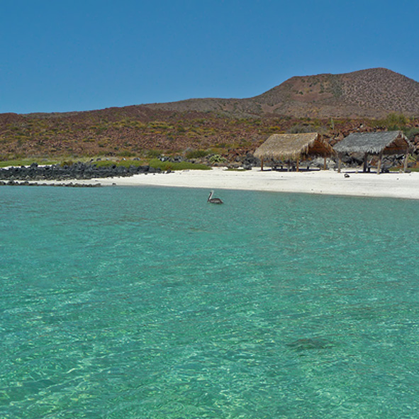 Isla de Coronado 